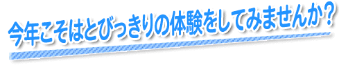 資料請求タイトル
