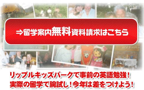 資料請求