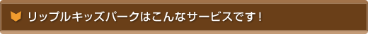 リップルキッズパークはこんなサービスです！